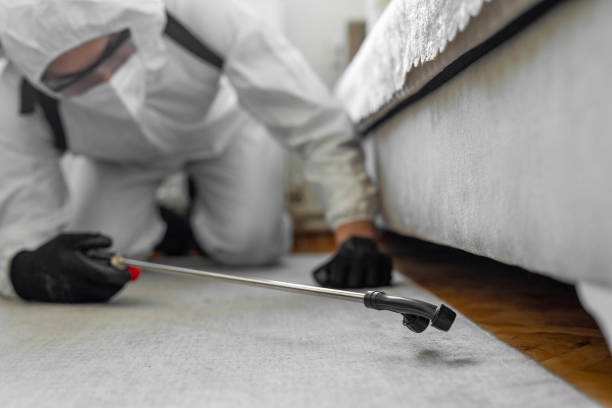 Professional Termite Control technician working in Milan, OH