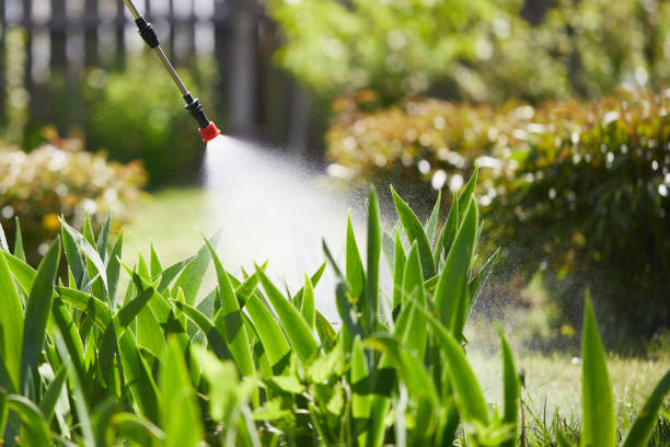 24/7 Emergency Termite Control experts in Milan, OH
