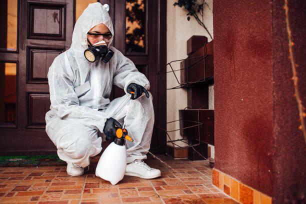 Reliable Termite Control contractor in Milan, OH by Nex Pest Control