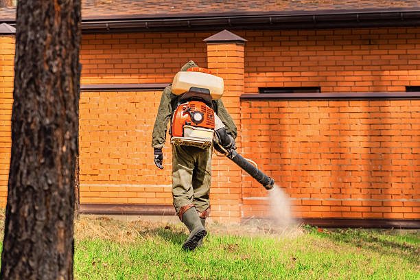 Top rated local Termite Control specialists in Milan, OH